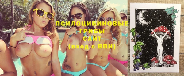 гашик Михайловка