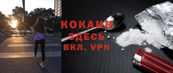гашик Михайловка