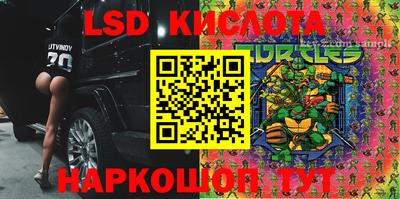 apvp Гусев