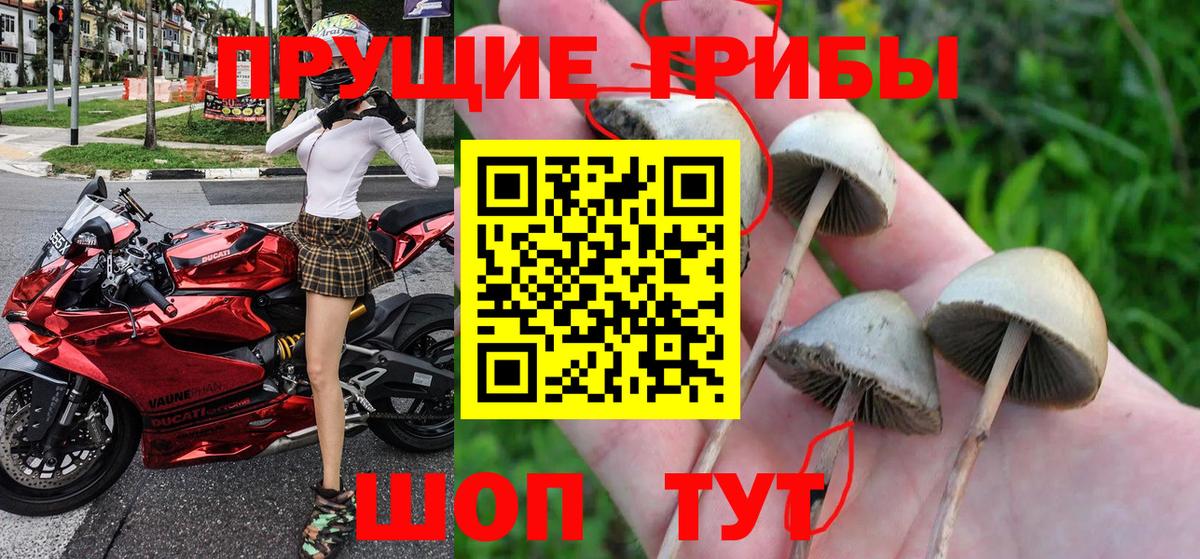 Галлюциногенные грибы Cubensis  Псилоцибиновые грибы Psilocybe  Ханты-Мансийск 